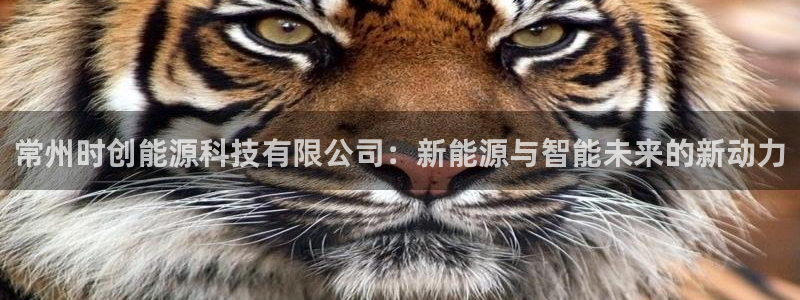 sunbet游戏