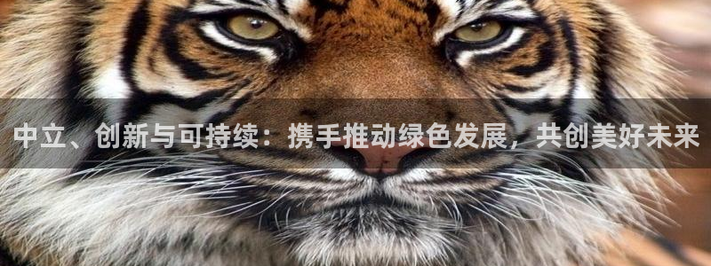 sunbet苹果官网下载
