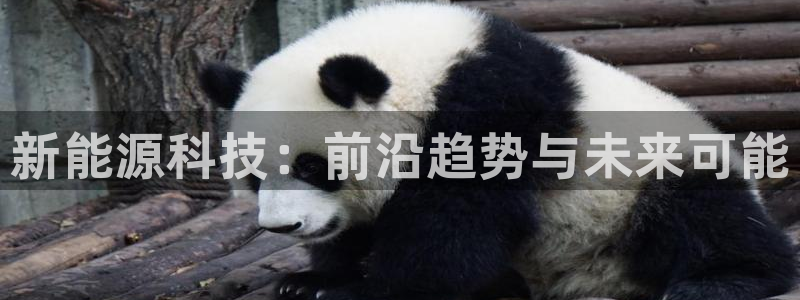 申博手机版app下载