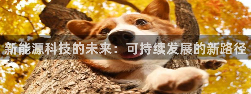 sunbething怎么读