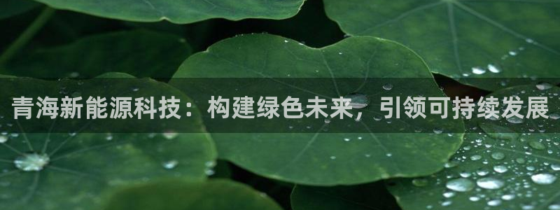 申慱sunbet网站