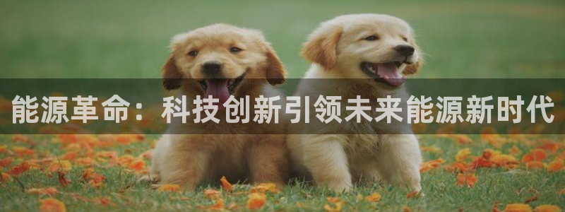 申博官网手机客户端