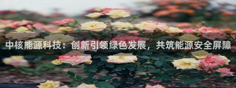 sunbet线上真人手机版