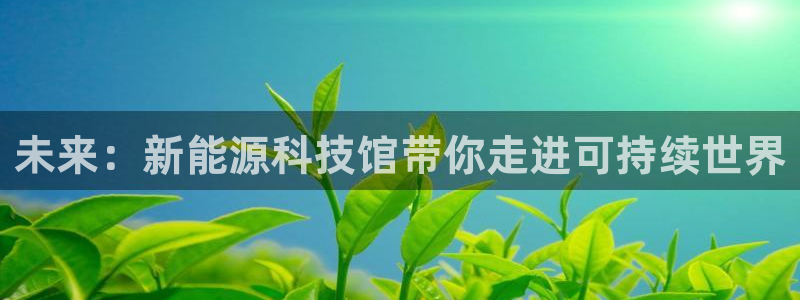 申博官网电脑版下载