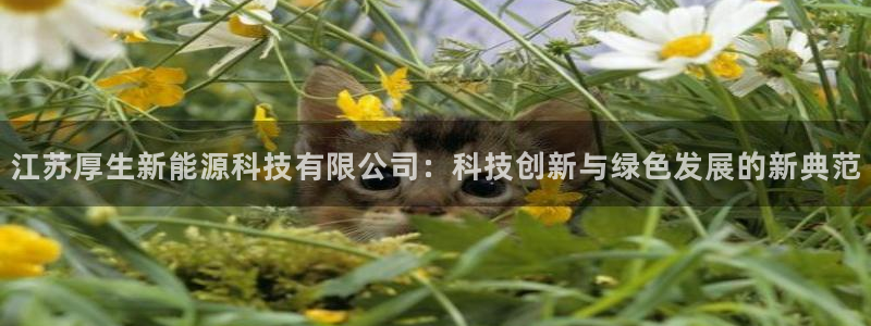 申博手机版app下载