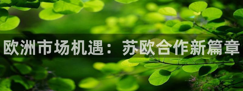 申博手机版app下载