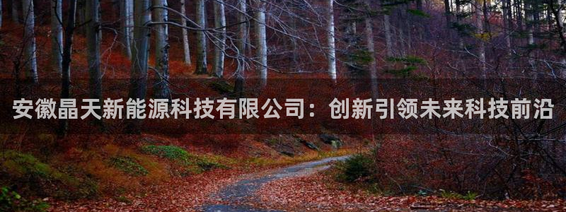 申博官网手机客户端