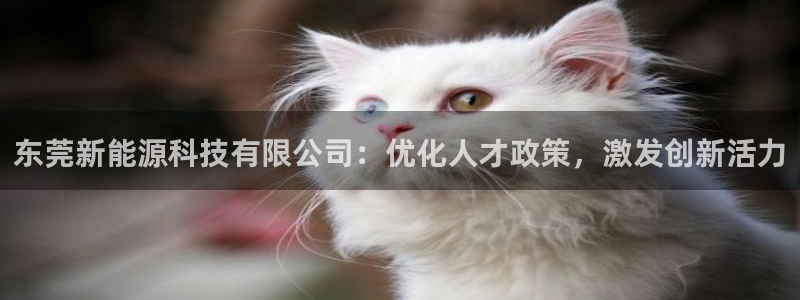 申博手机版官网