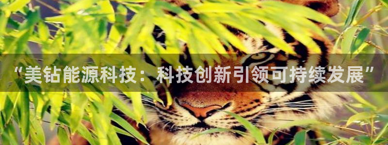 sunbet官网手机版登录