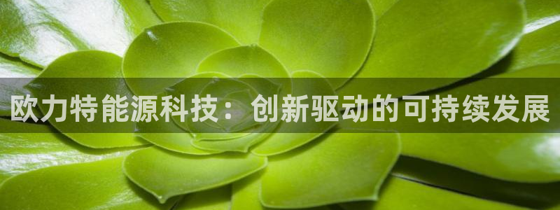 sunbet手机网页版下载