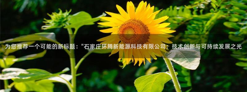 sunbet手机网页版本