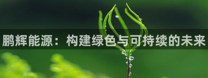 sunbet游戏官网