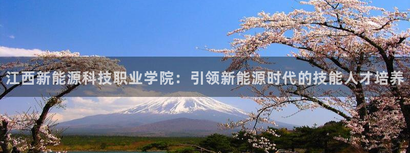 sunbet首页登录入口