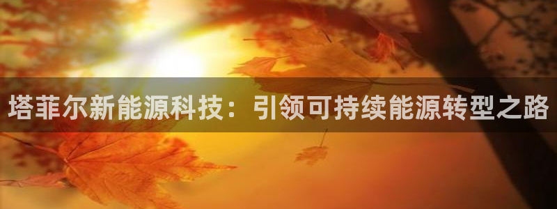 申博官方网站手机版下载