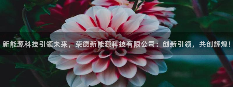 申慱sunbet手机版登