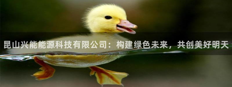 sunbet游戏最新版