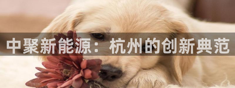 进入sunbet官网手机版登陆