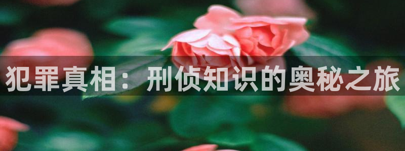 17k小说网站