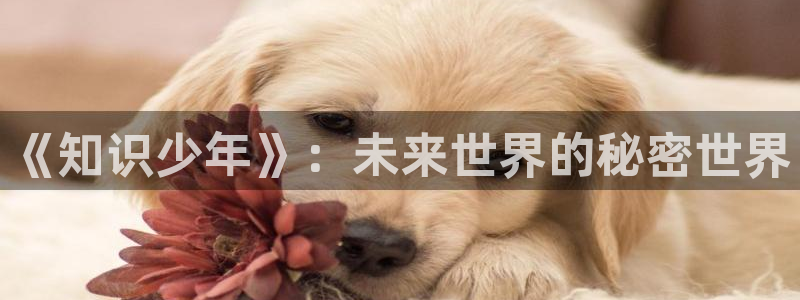 丨17k小说网