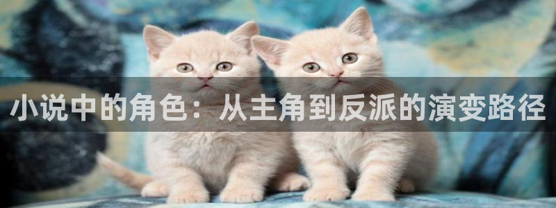 17k小说网站官网